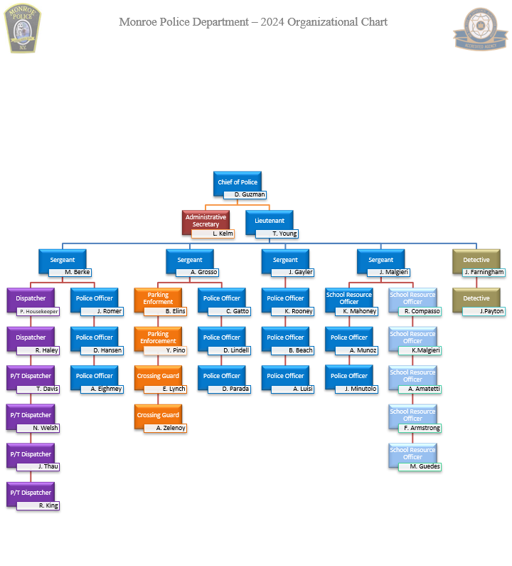 New York Police Organizational Chart New York City Police Department